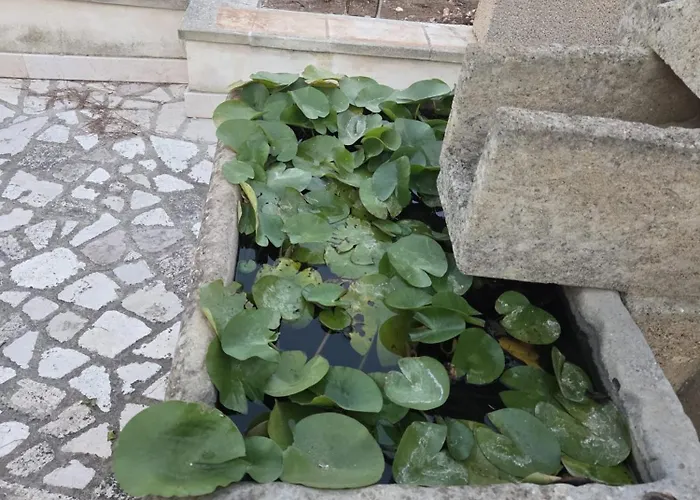 Tatil Evi Mirella